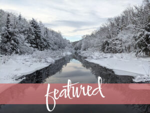 Featured photo for winter: reflections of snowy pines in a river