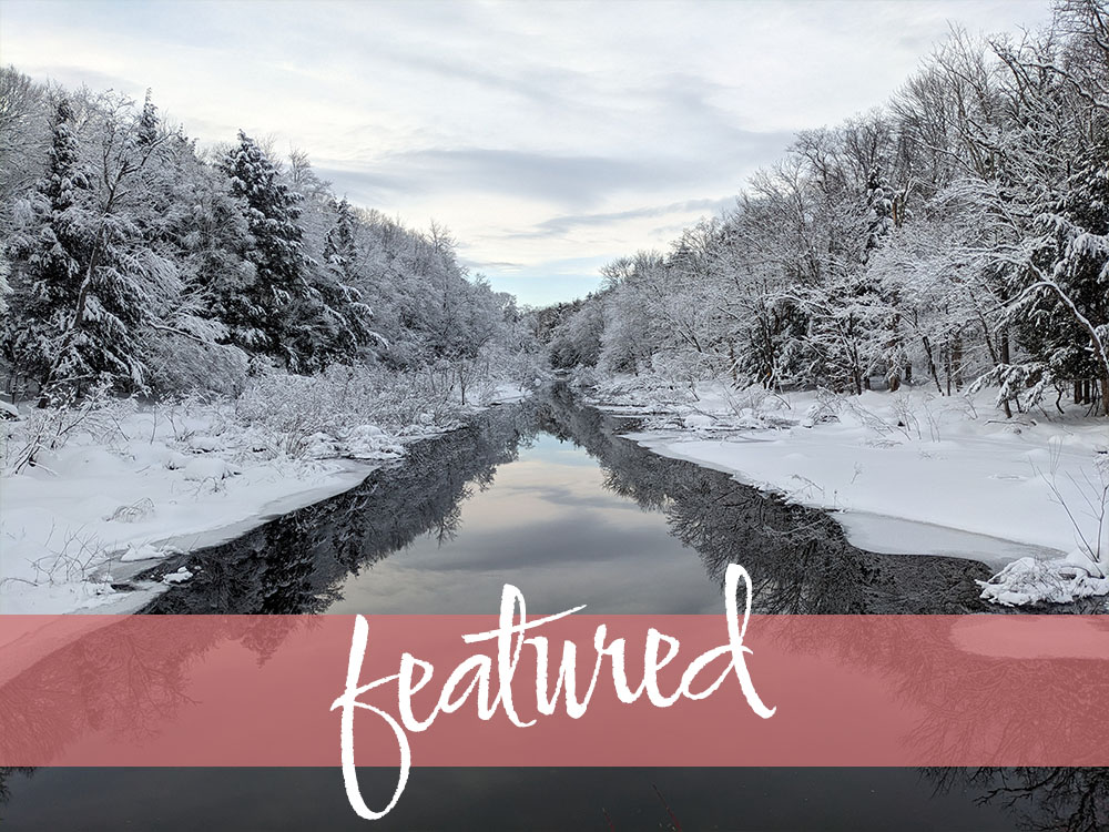 Featured photo for winter: landscape of reflections of snowy pines in a river