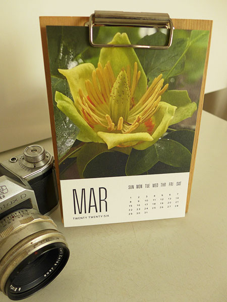 Camera next to a march calendar image of a tulip tree flower