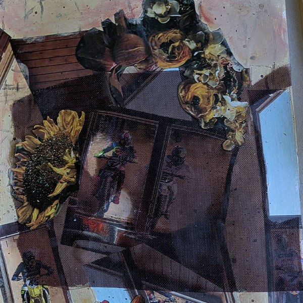 close up of bluebeard spread - do you see our brothers